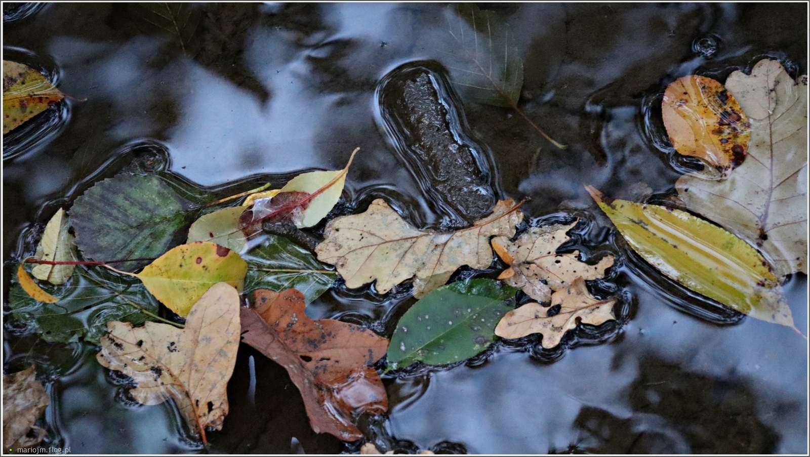 Jesienne inscenizacje