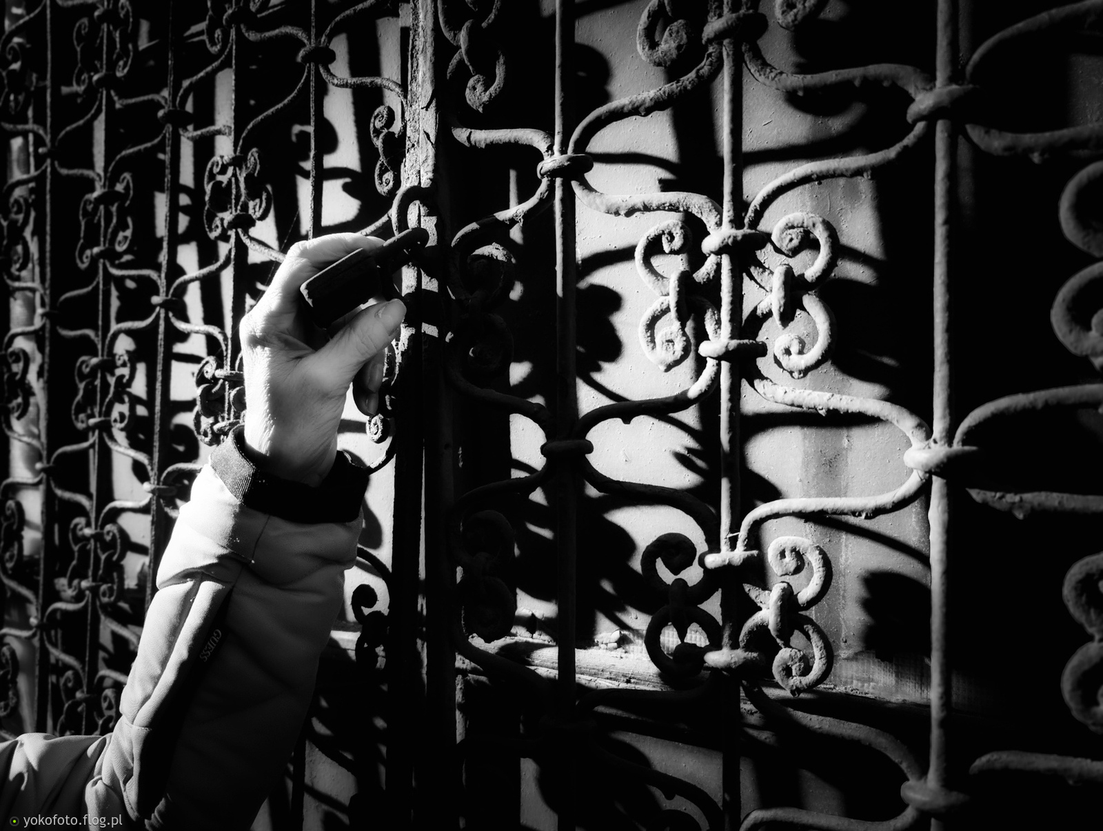 #PstrykCodzienny - 2025_10_26