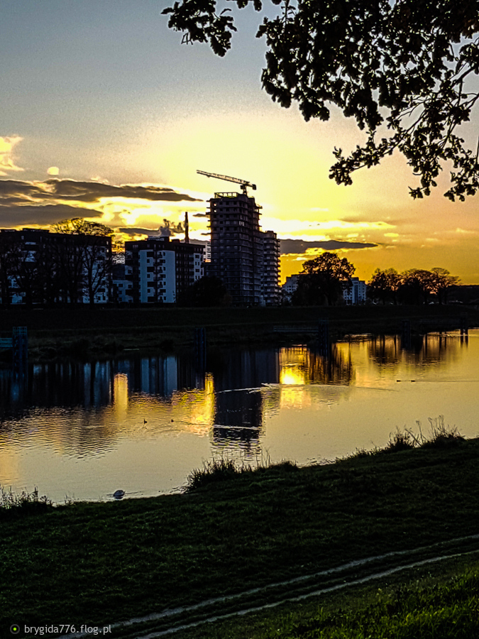 Sylwetki o zachodzie słońca...