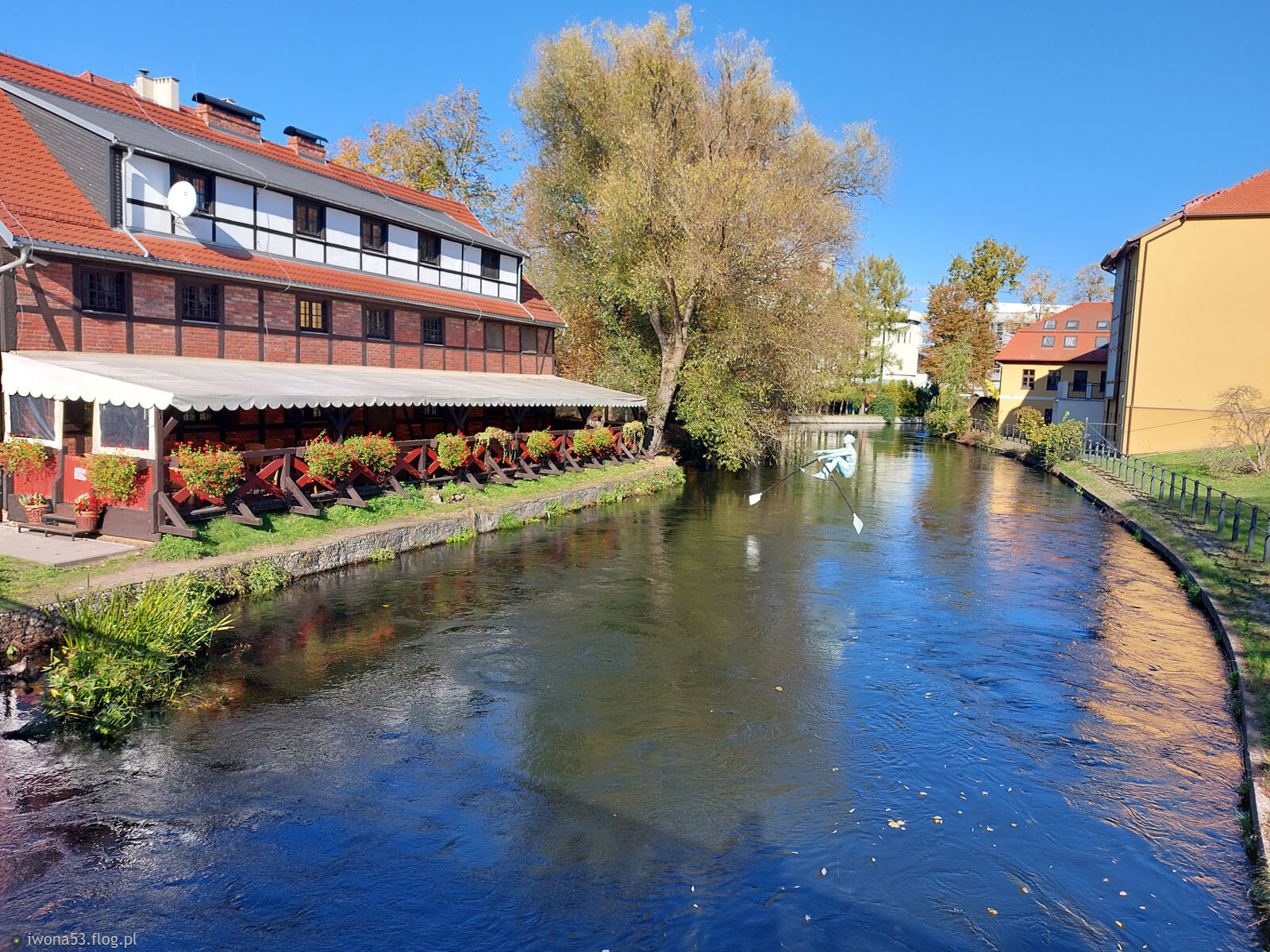 POWOLNĄ I BOLESNĄ ŚMIERCIĄ JEST ŻYĆ NIE PODRÓŻUJĄC, NIE CZYTAJĄC, NIE SŁUCHAJĄC MUZYKI I NIE ŚMIEJĄC SIĘ Z SAMEGO SIEBIE.