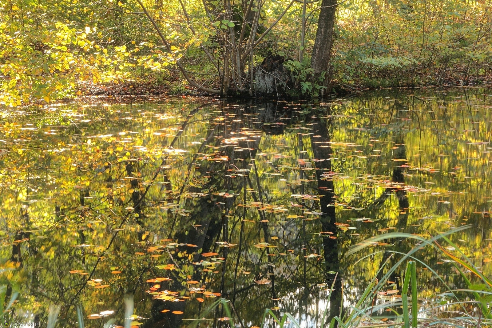Jesień na milion sposobów :)))