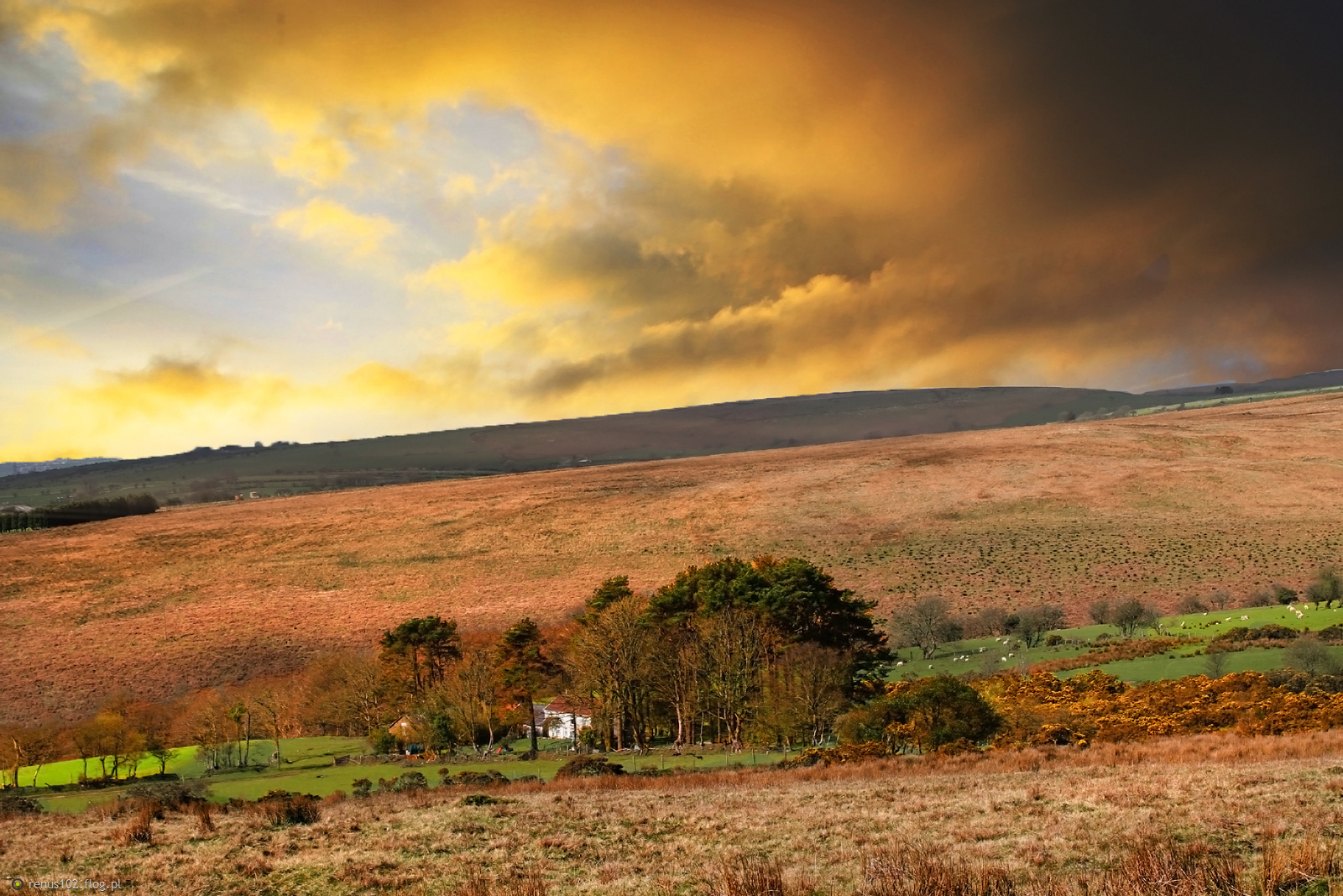 Takie miejsce...............Walia