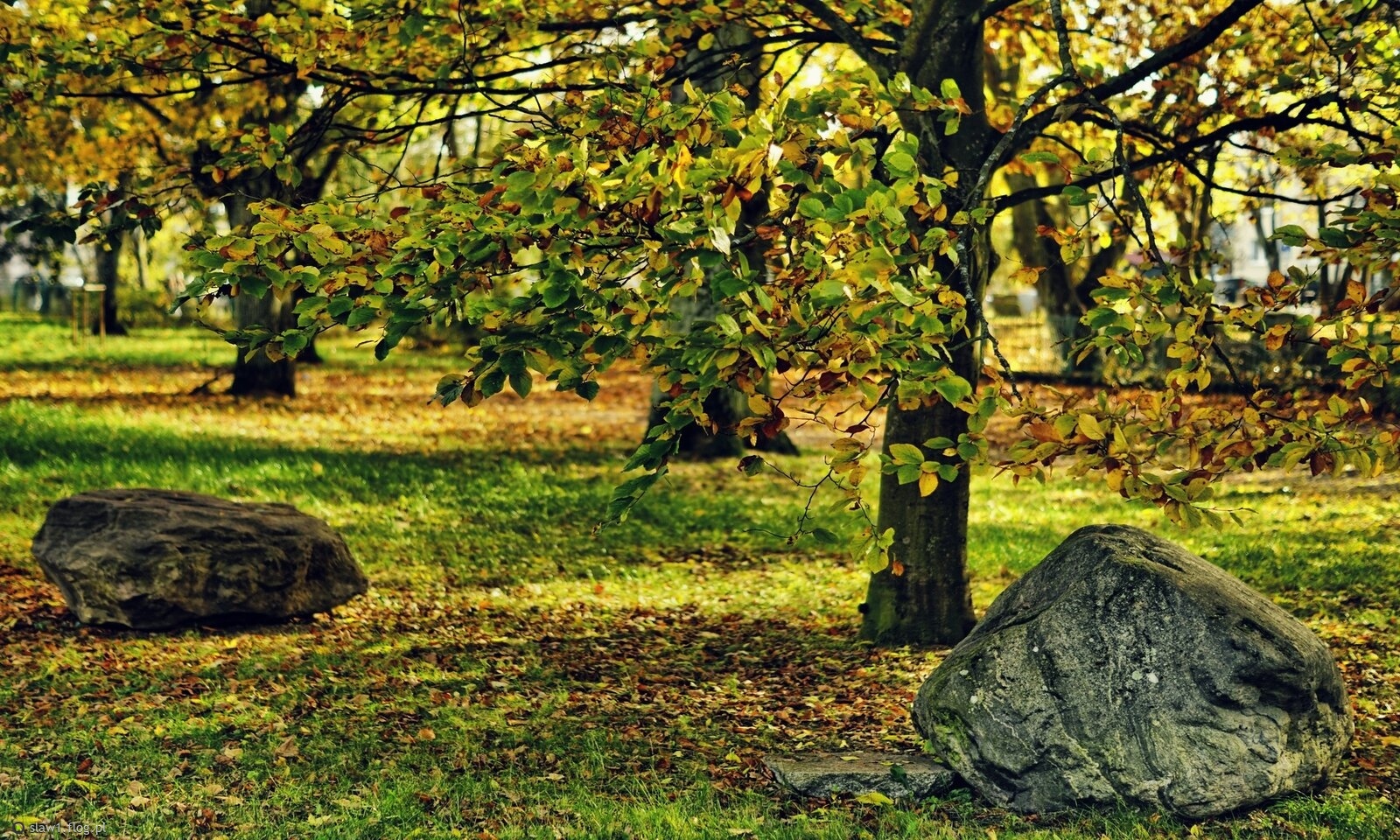 Kolor nie odpuszcza ...