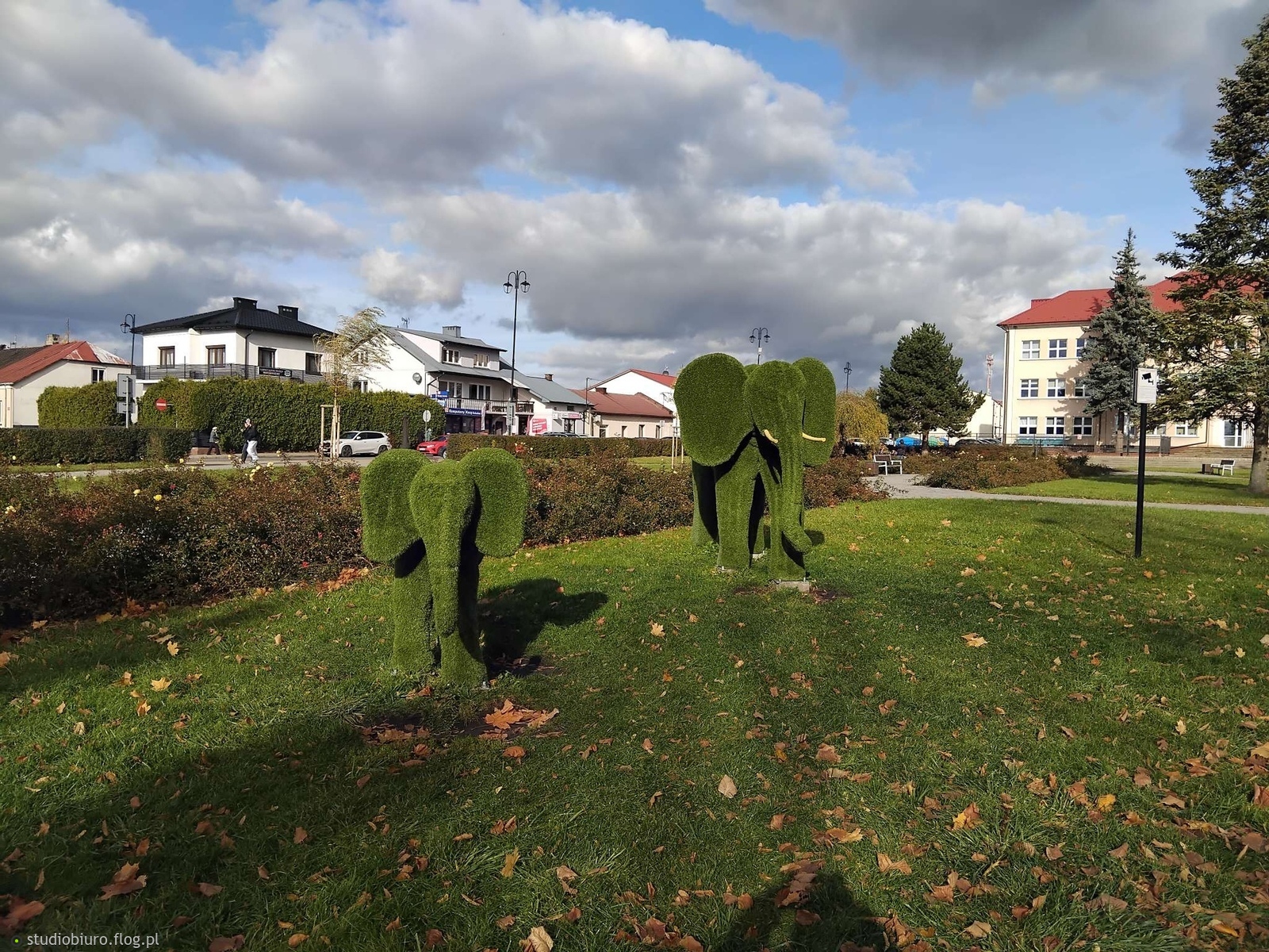 Słonie miejskie jesienią