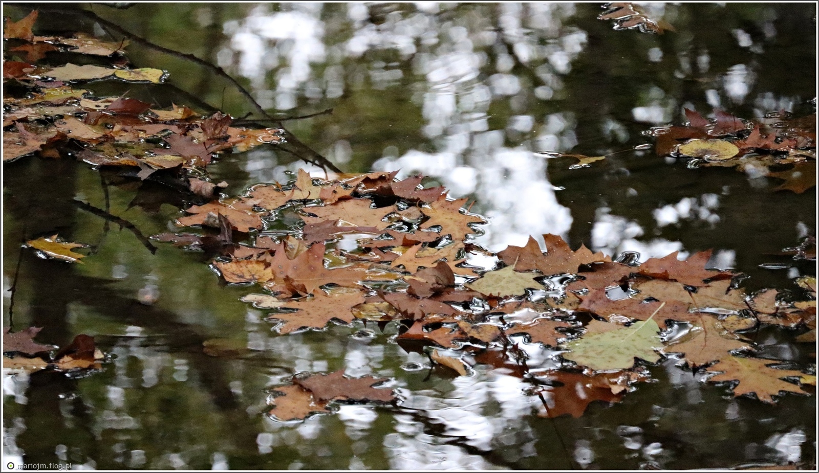 Jesienne posłanie...