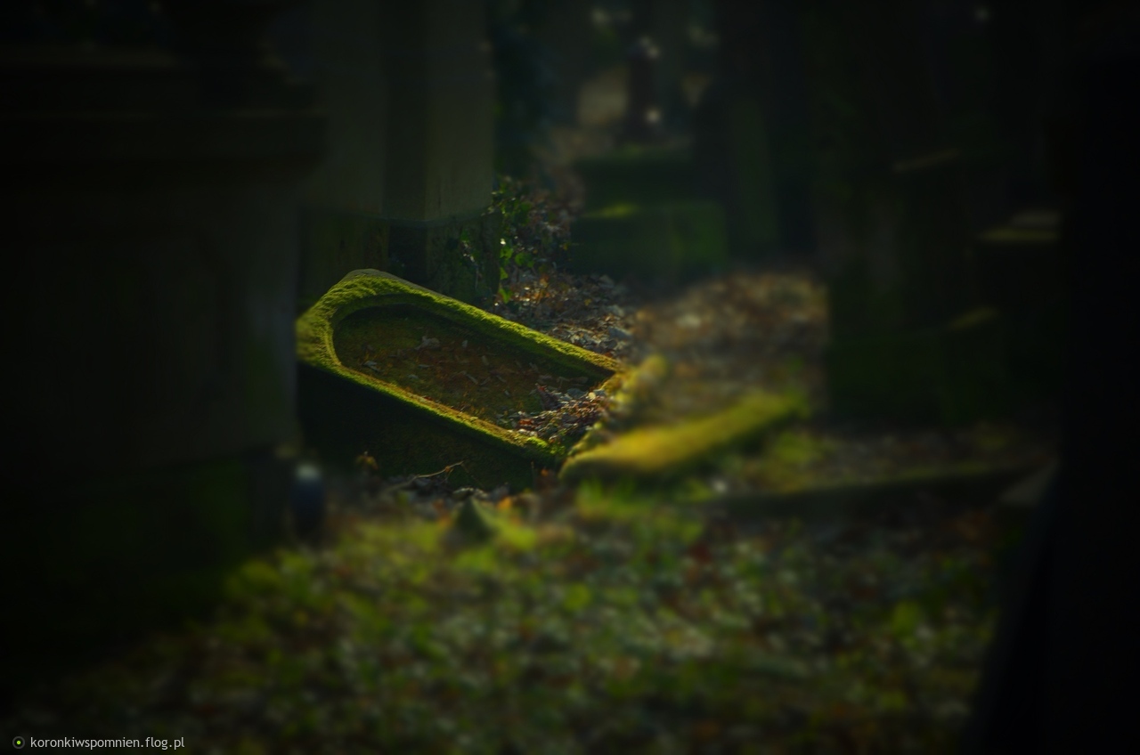 Jutro Dzień Wszystkich Świętych, podróże będą konieczne, ale niech będą bezpieczne:) Życzę Wam tylu powrotów ile wyjazdów!