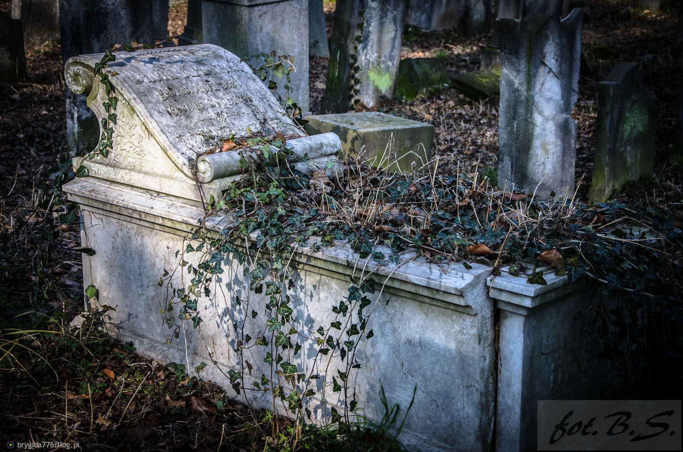 I tylko już bluszcz przytula...