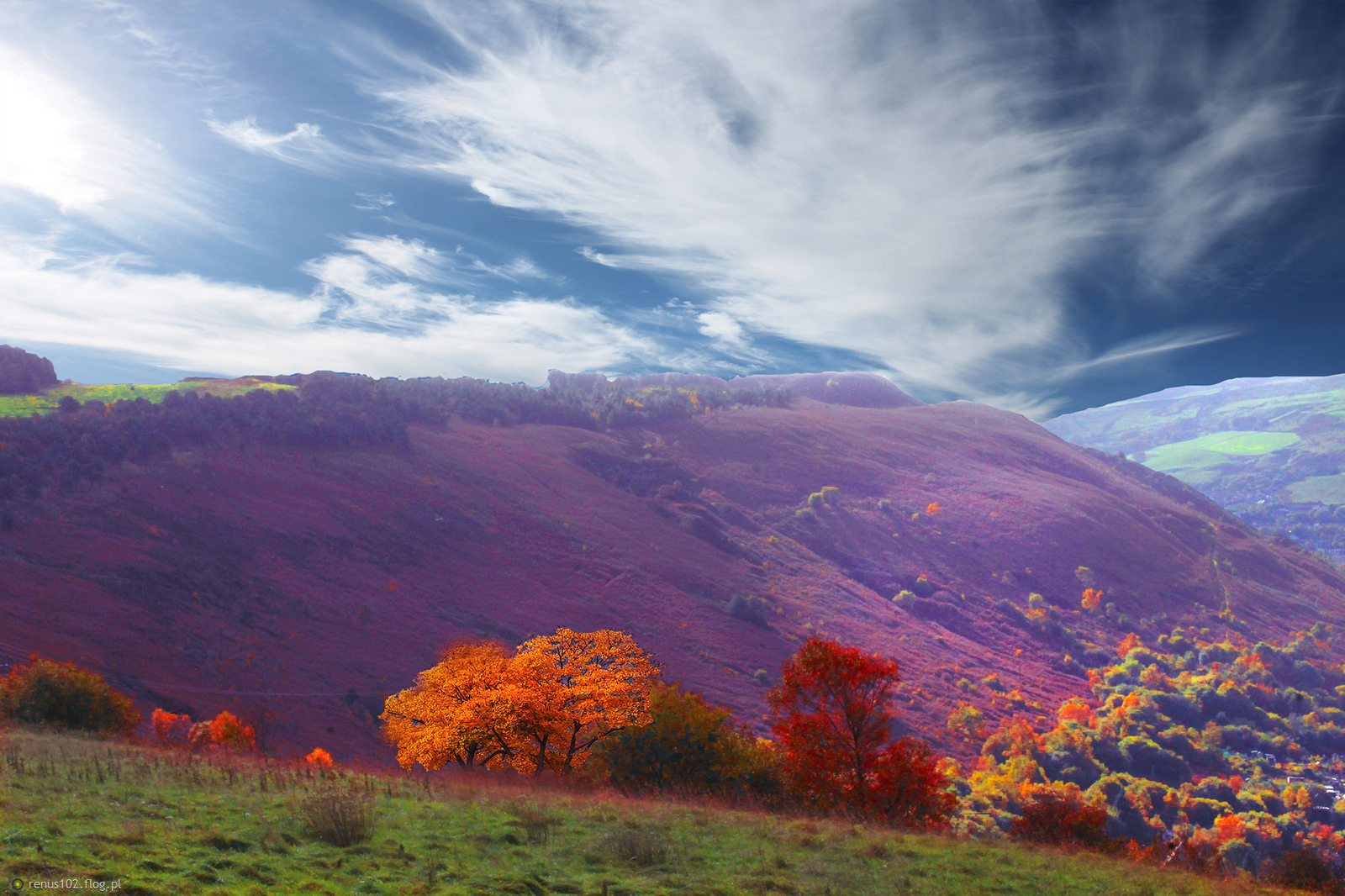 Jesienne obrazy.......................:)