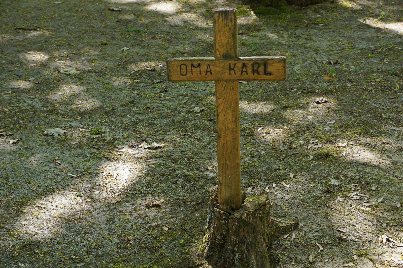 W lesie pamięć pozostała.