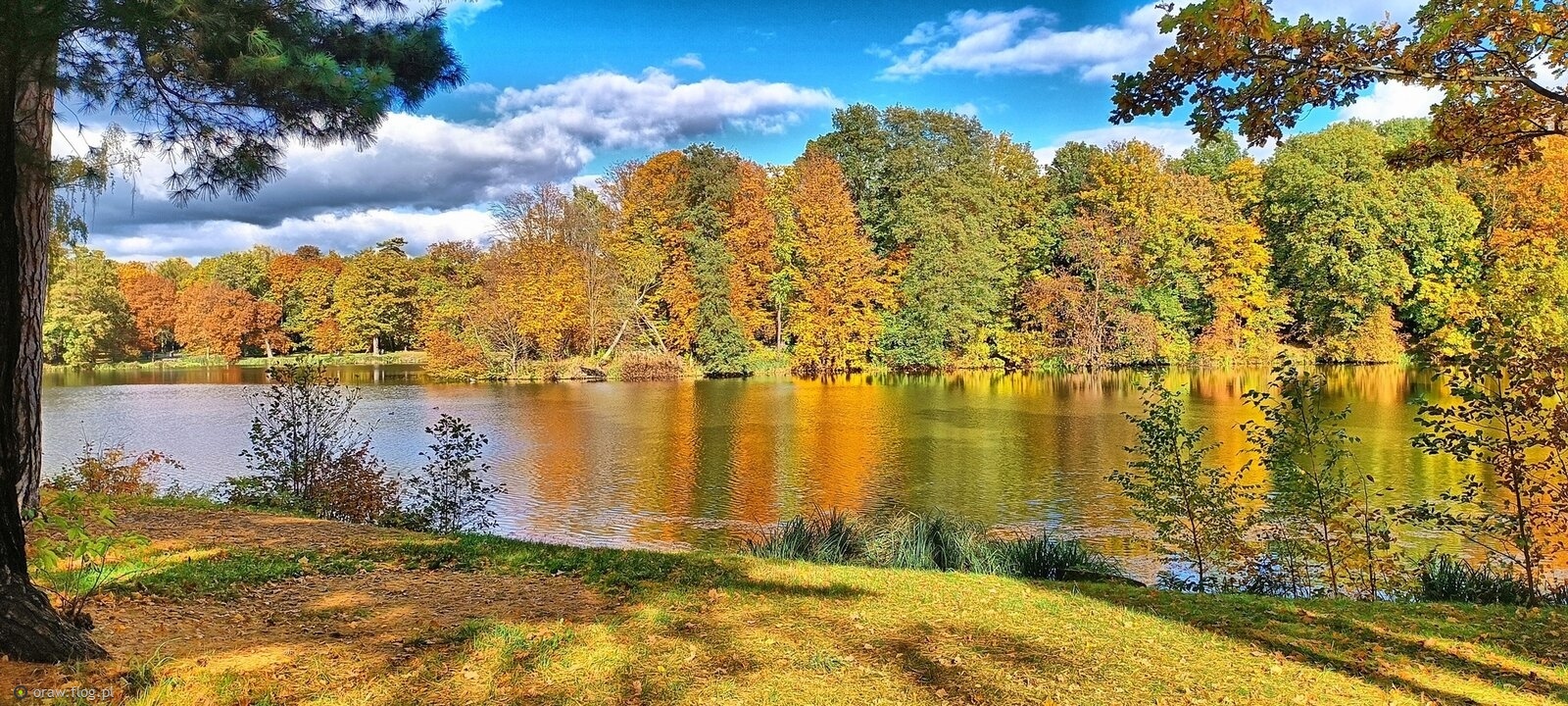 Już tylko wspomnienia…