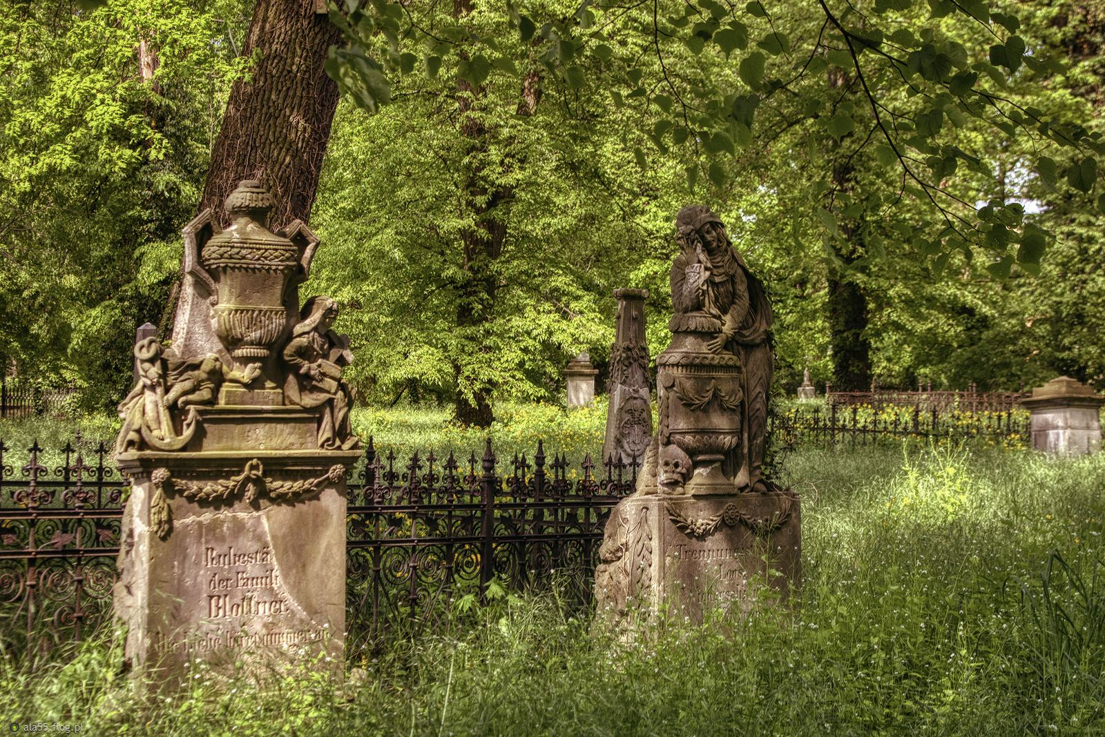 Wszystkich Świętych :)