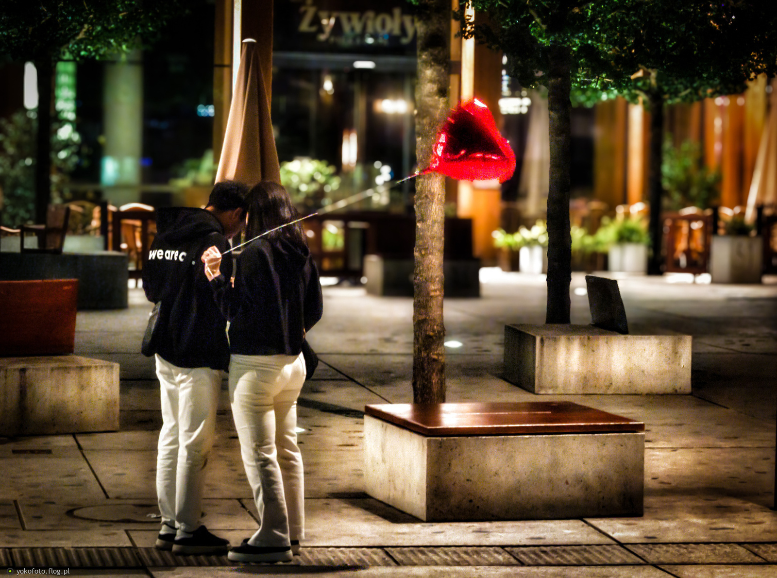 #PstrykCodzienny - 2025_11_01...pstryk... cóś z Baksego?