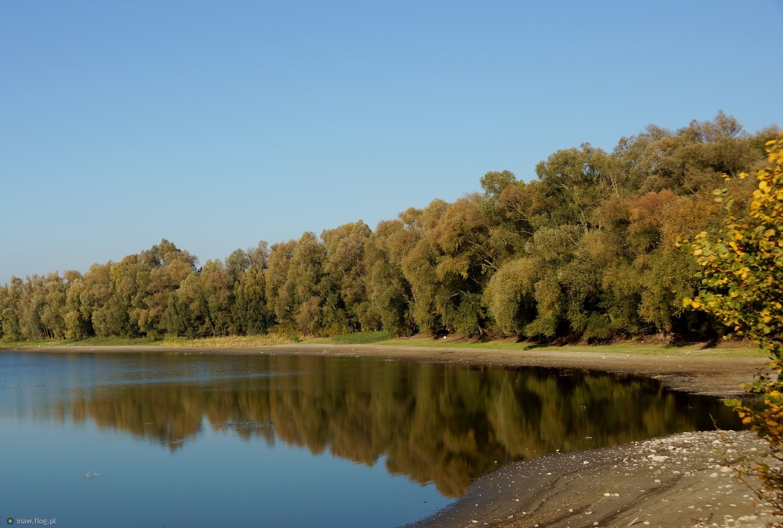Październikowy widok za jeleniczki🍂