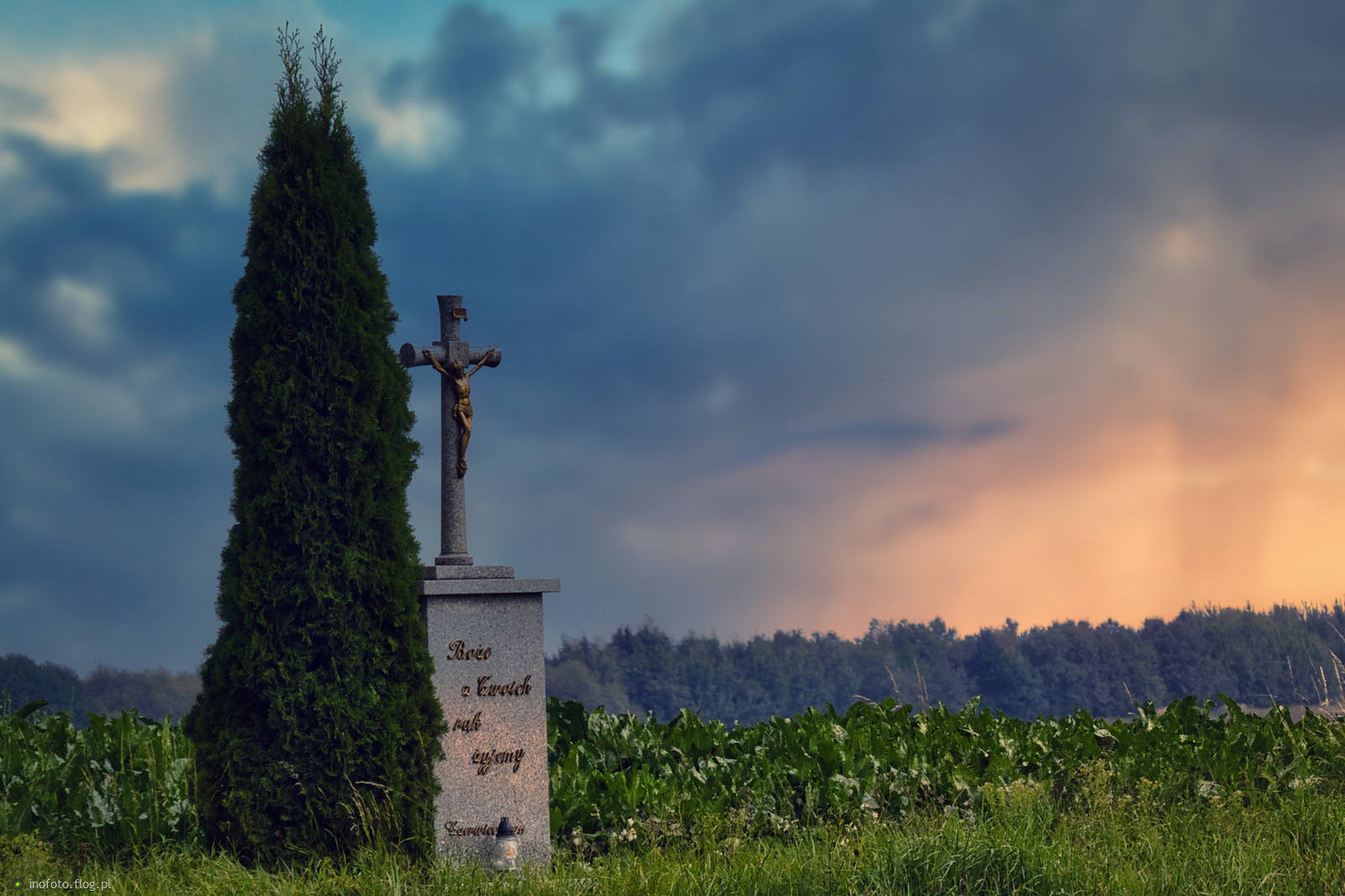 Niedzielnie - z trasy