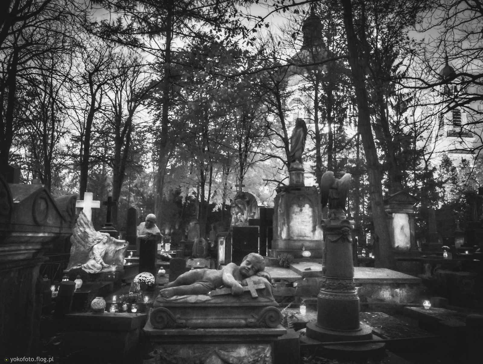 #PstrykCodzienny - 2025_11_02