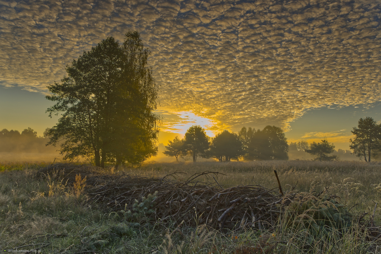 Jesienny poranek na łąkach