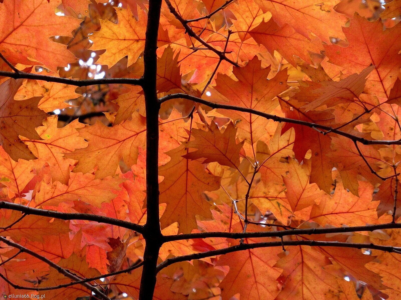 Patrzę w górę, spoglądam w dół