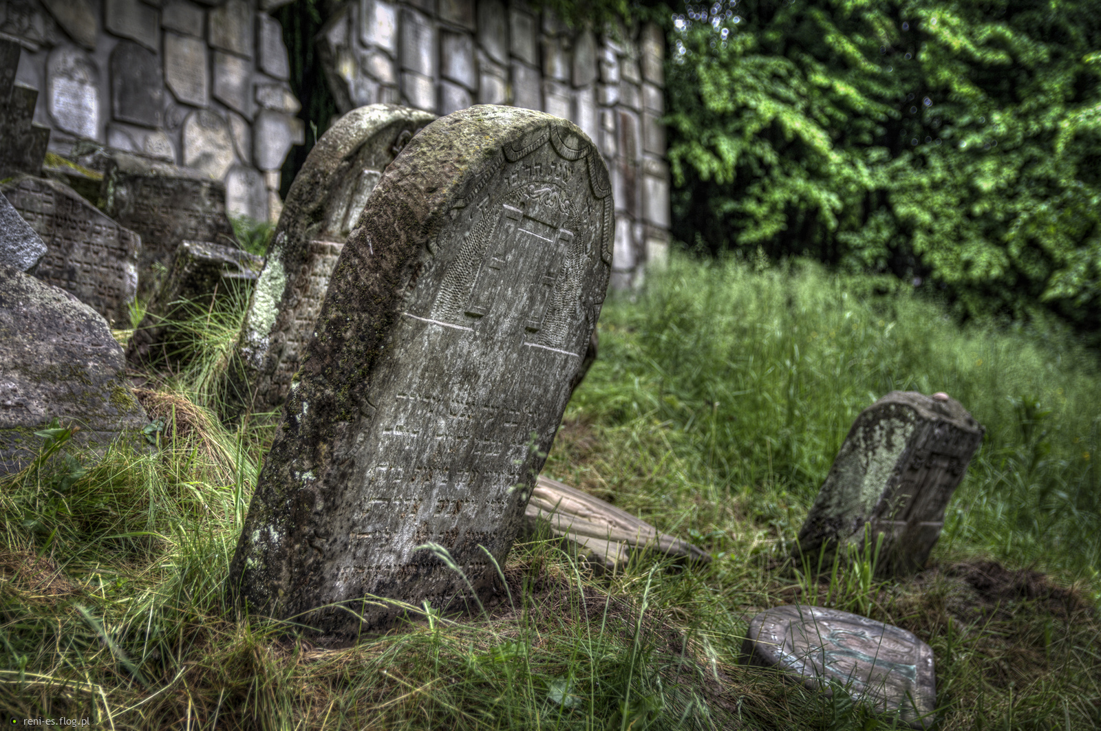 "Nie szukajcie mnie tutaj...szukajcie w sercach"...