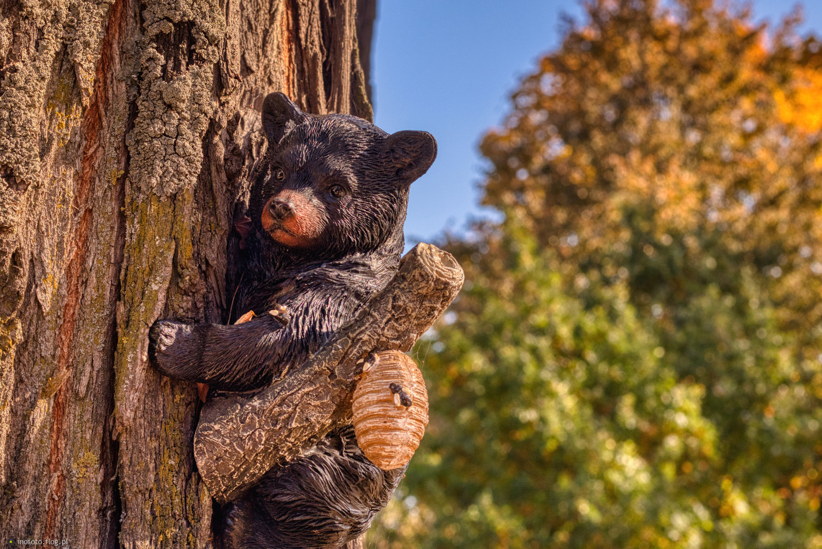 Do muzy Czerwonych Gitar 😁😁😁