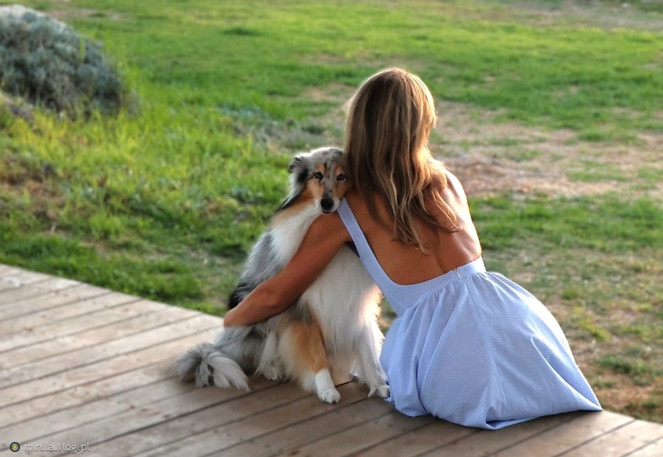 Lassie i dziewczyna w niebieskiej sukience