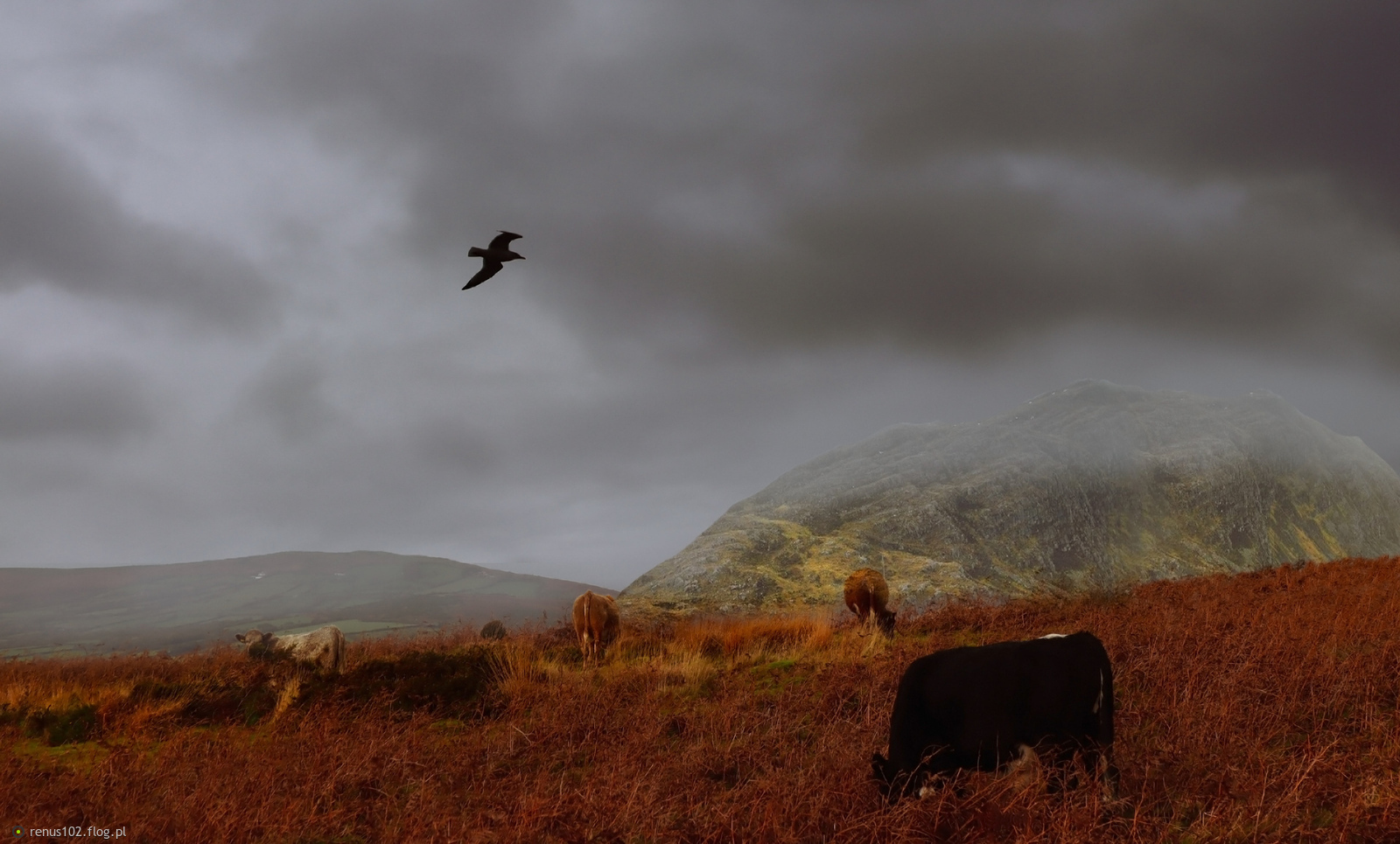 I taka bywa jesień................