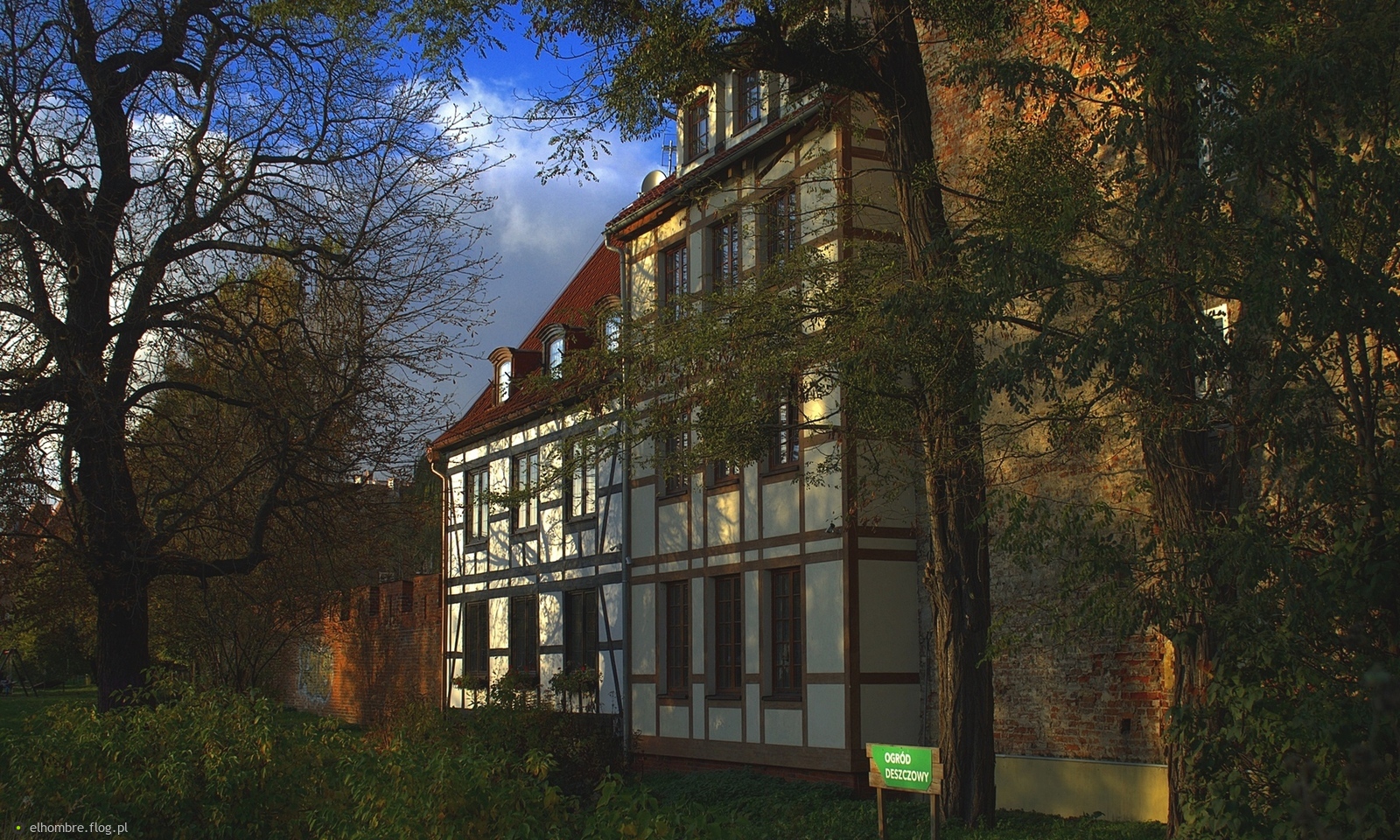 W złotej godzinie ...