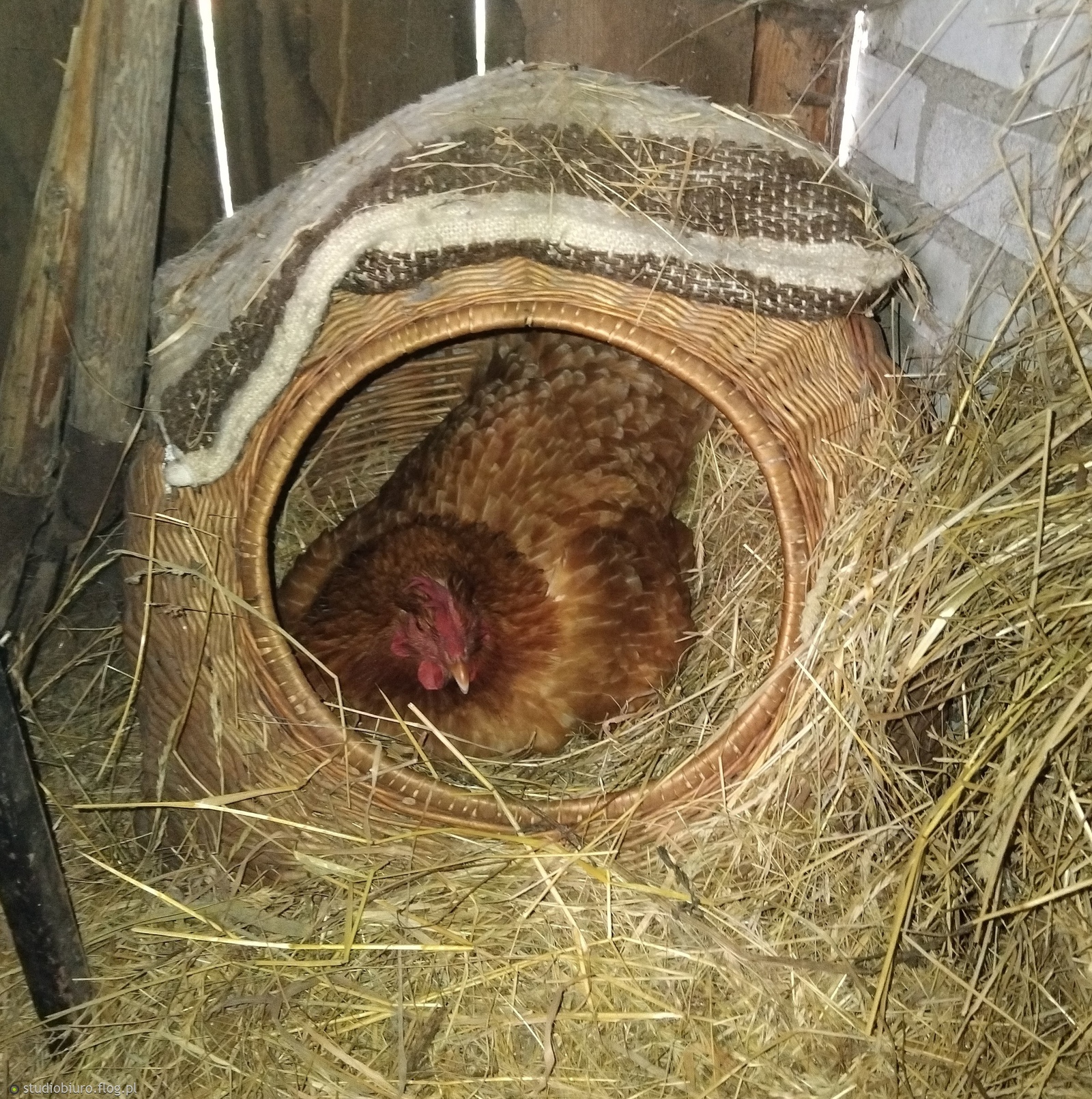 ‎poniedziałek, ‎28 ‎lipca ‎2025, ‏‎16:24:48