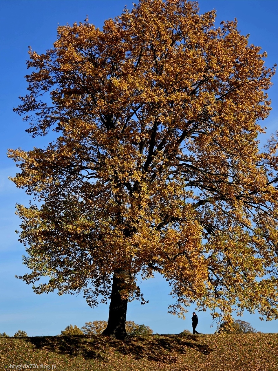 Każdy ma swoją samotność...