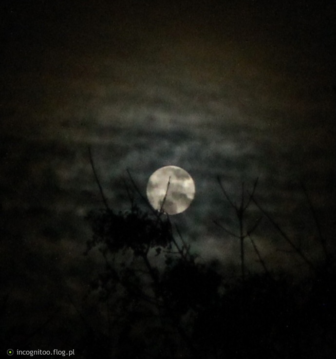 Dzisiejsza pełnia 🌕