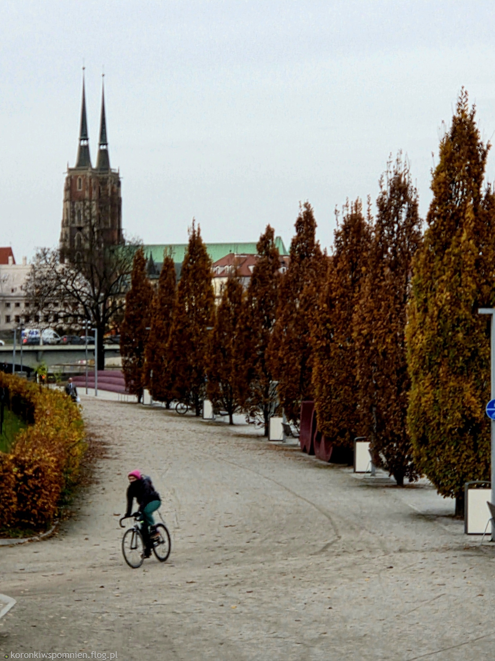 Taki sobie kadr:) Pozdrowienia dla Miłych Gości:)