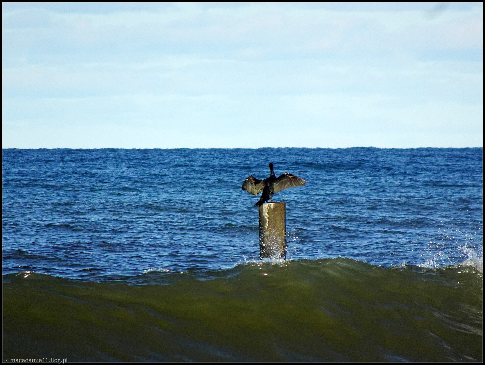 Na brzegu otchłani...