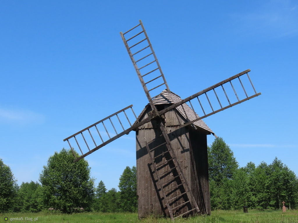 Wiatrak koźlak - Białowieża (Podlasie)