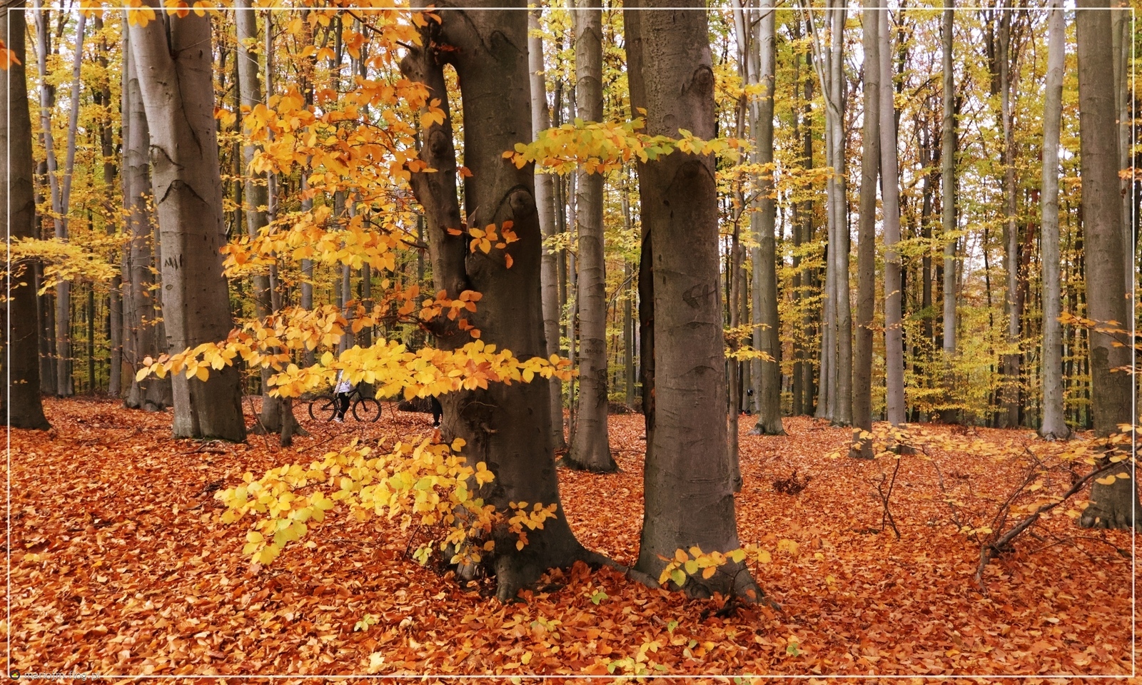 Jesień na rowerze...