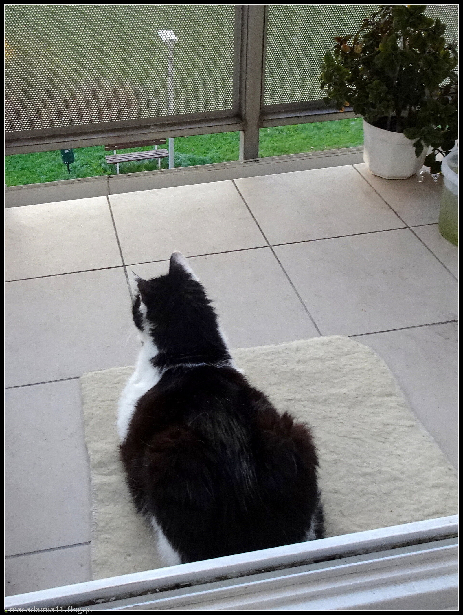 Dobrze, iż jest kocyk...