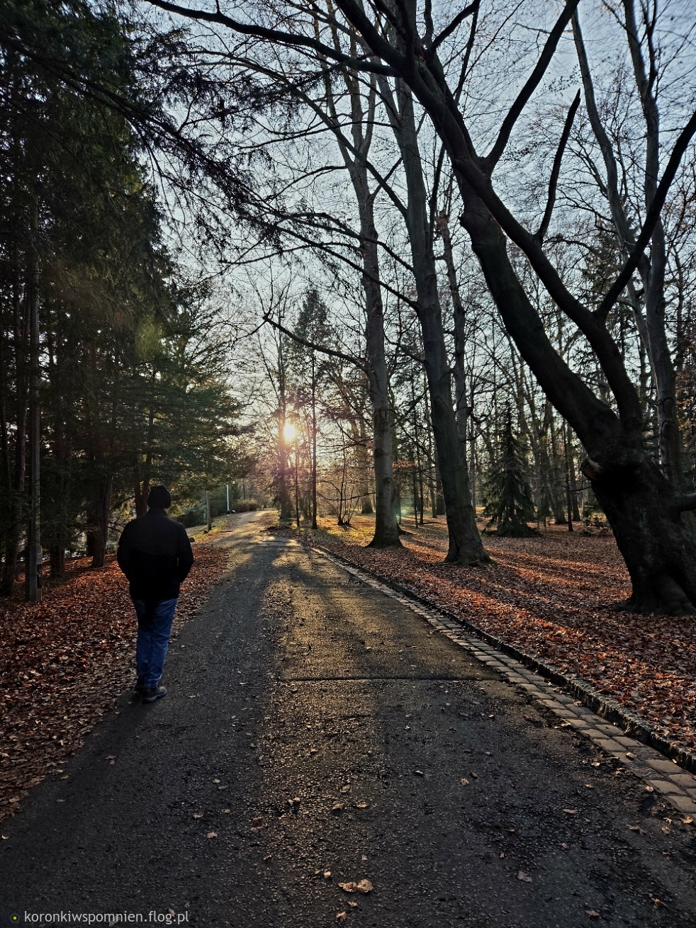 Jesienny spacer:) Miłych chwil na dziś:)