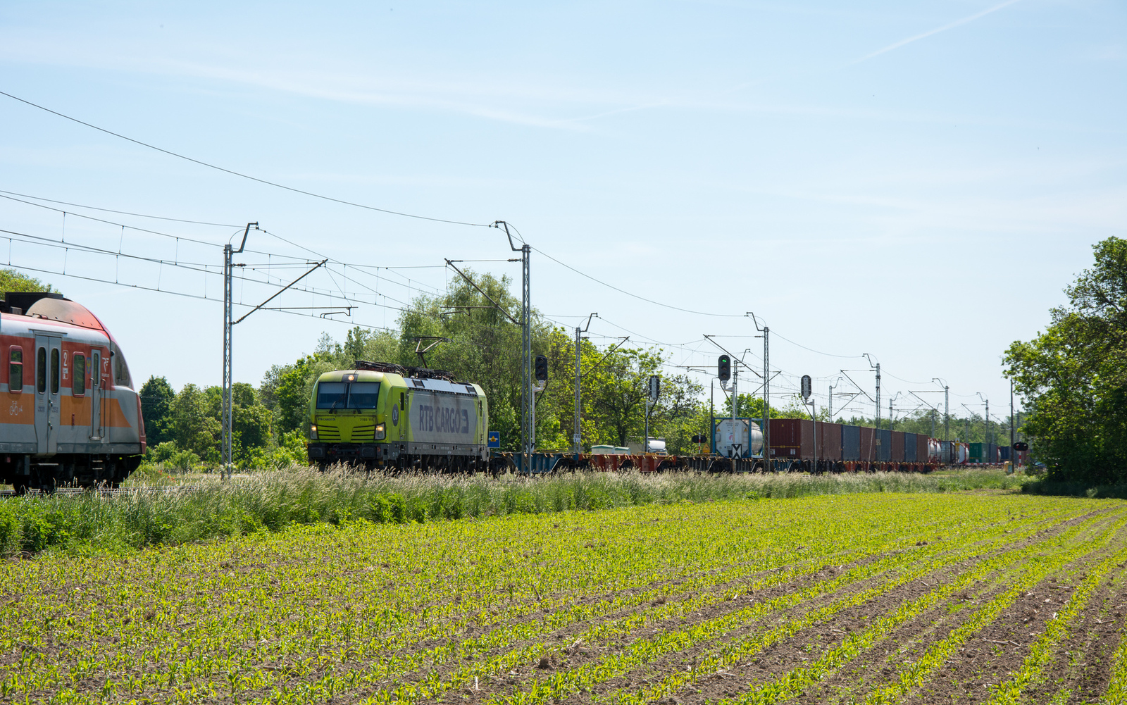 7193 115