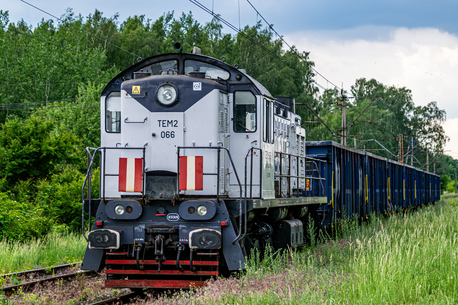 TEM2-066 - Брянск TЭM2 - ECCO Rail
