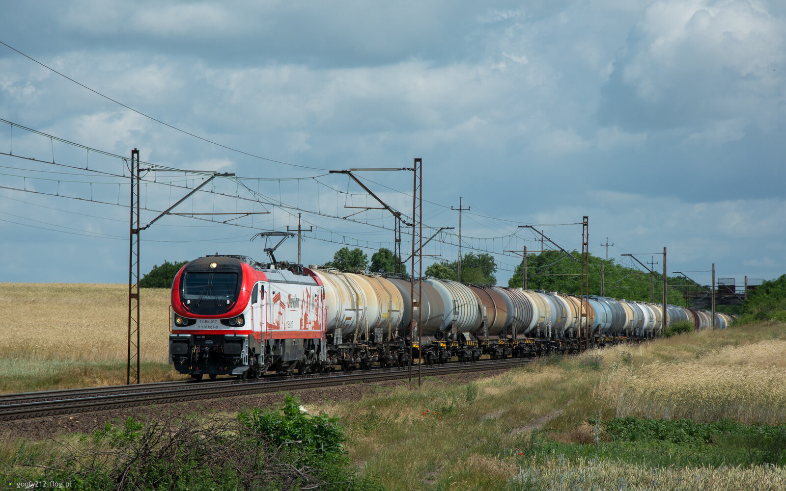 111Ed-017