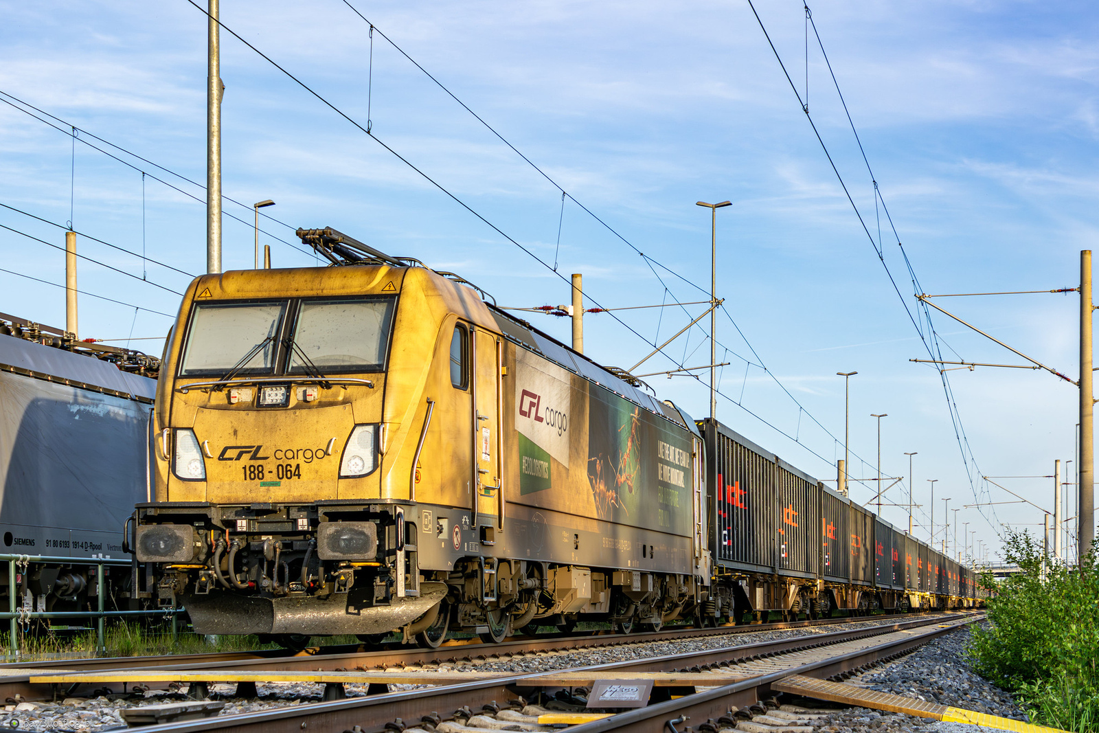 188 064 - Bombardier Traxx MS3 - CFL Cargo