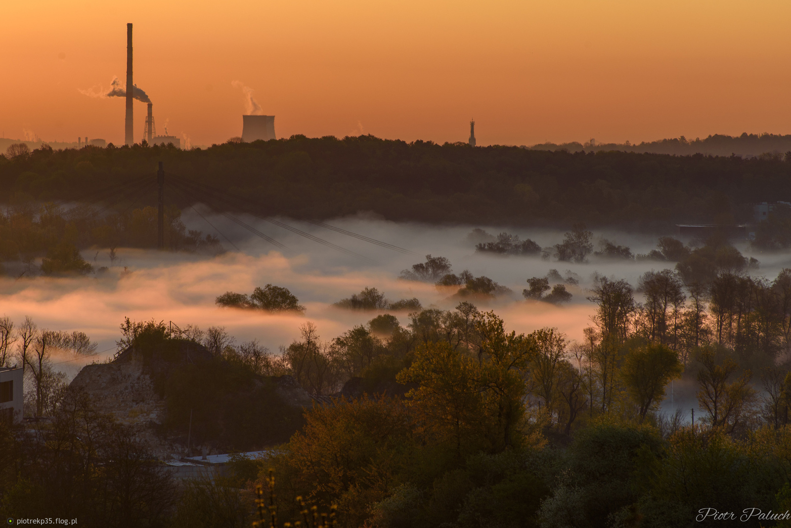 Wiosenny poranek nad krakowską "dżunglą"