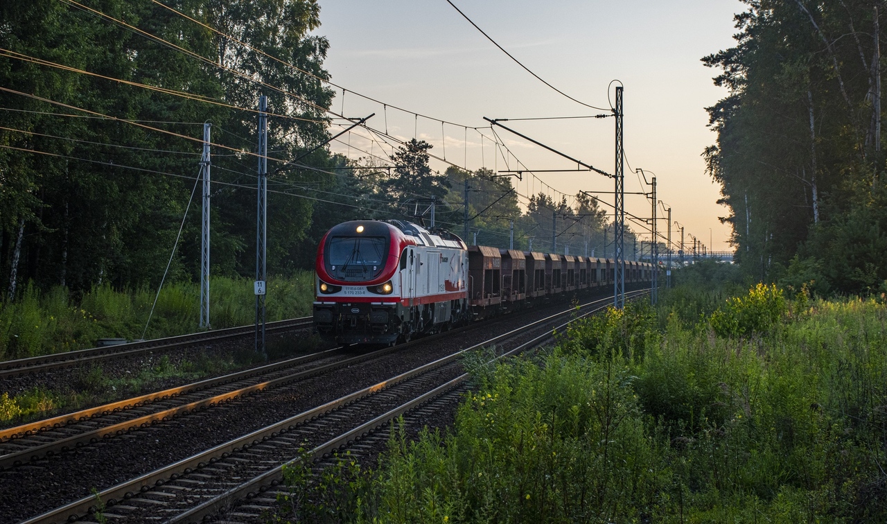 111Ed-081