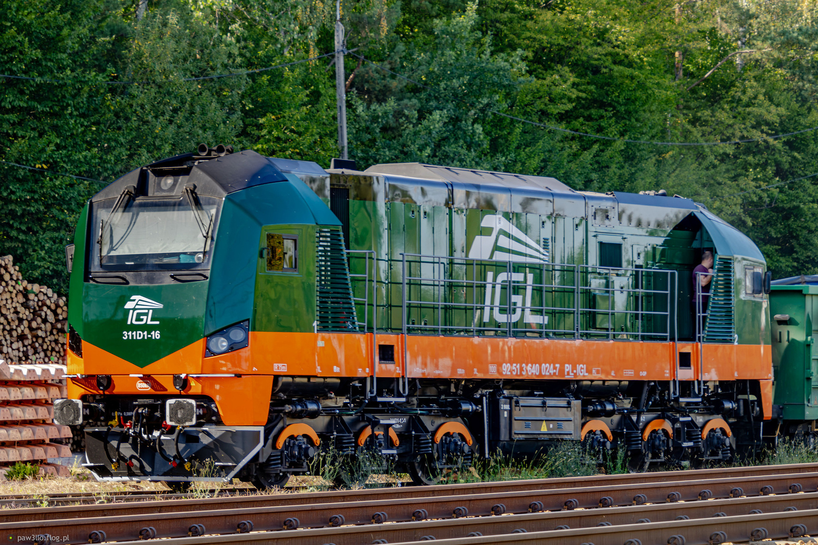 311D1-16 - Newag 311D - IGL Sp. z o.o. Sp.k.