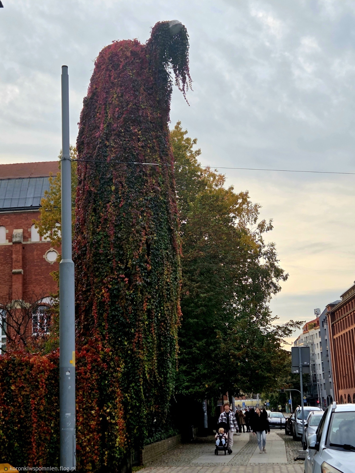 Wrocławski "ZZZ TOP" już się czerwieni:) Spokojnych chwil na dziś:)