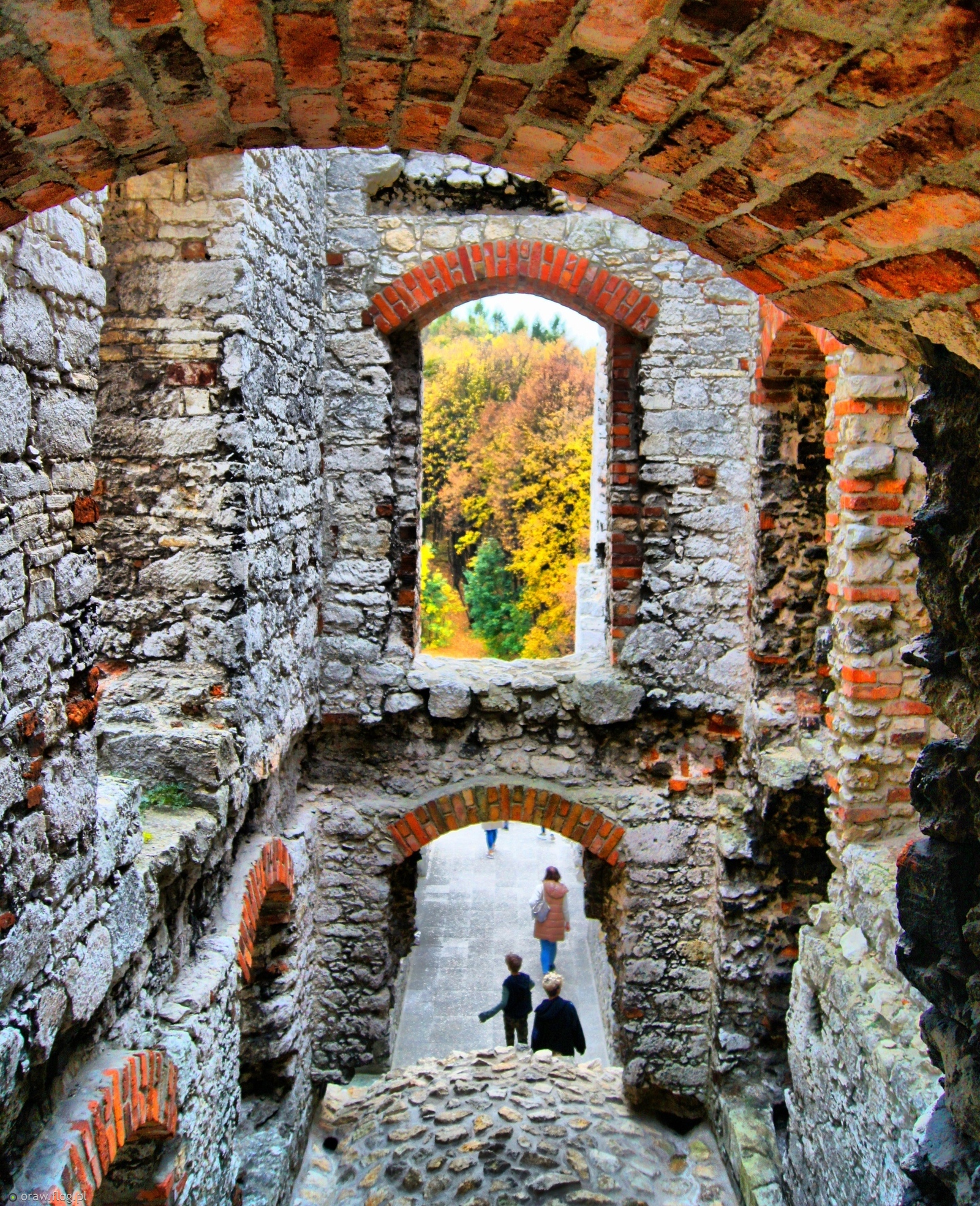 Jurajskie...