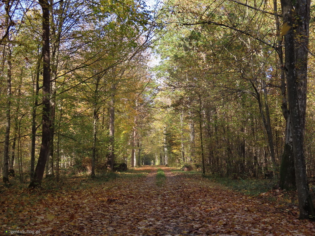 Klimat jesieni