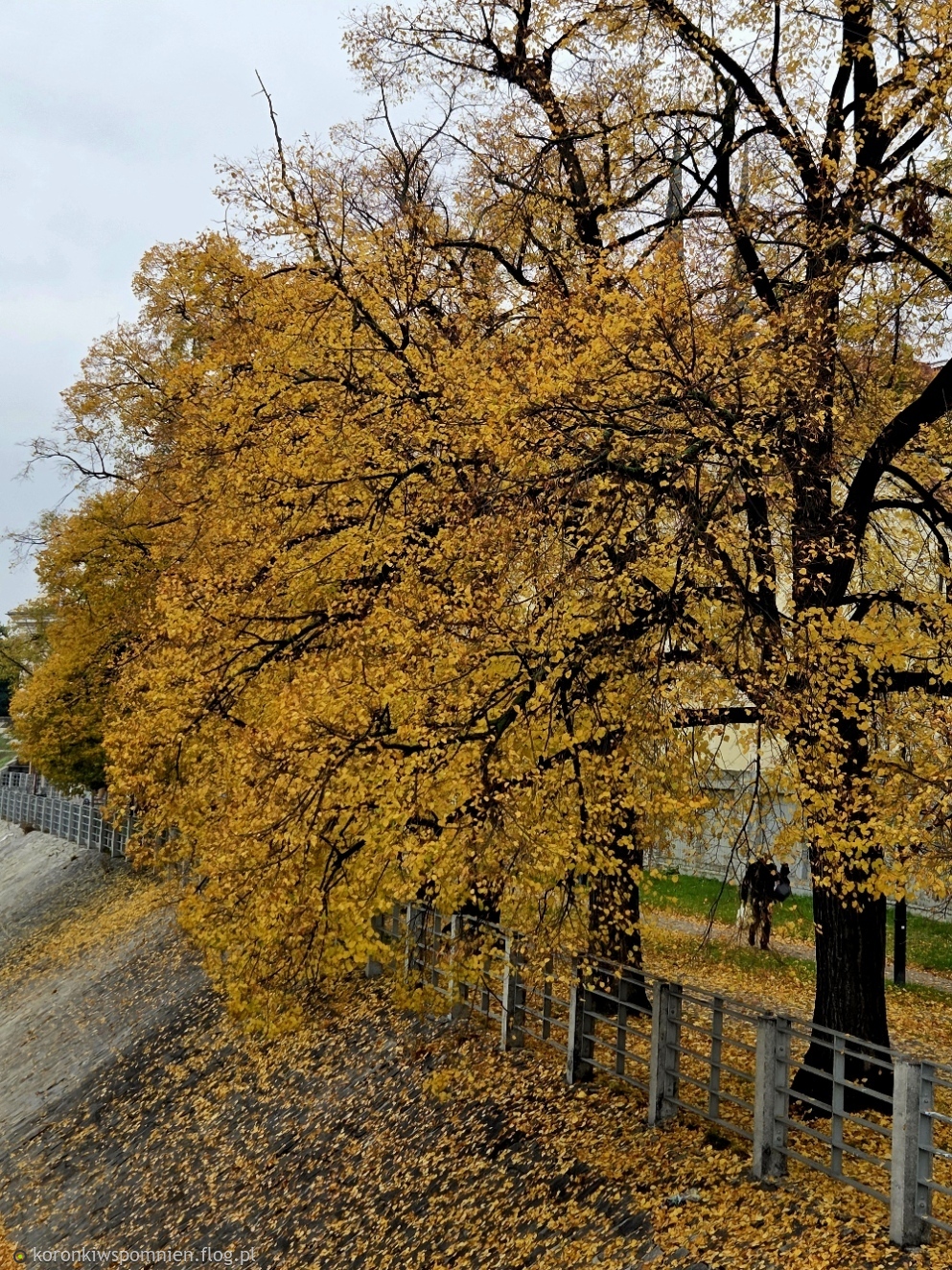 Jesień Nas otula...Pozdrawiam ciepło:)