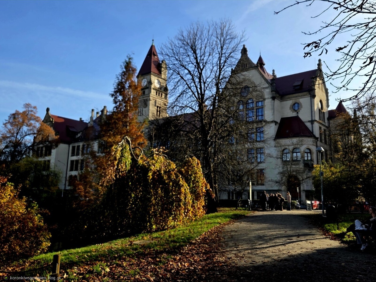 W parku koło domu zawsze pięknie:)