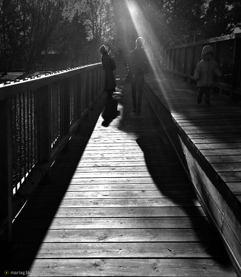 Jesienne światło & cień