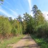 Puszczańska tryba