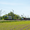 7193 115